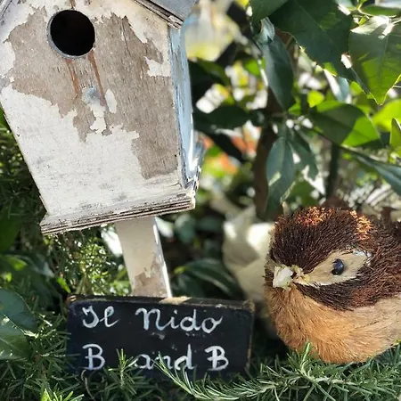 Il Nido *